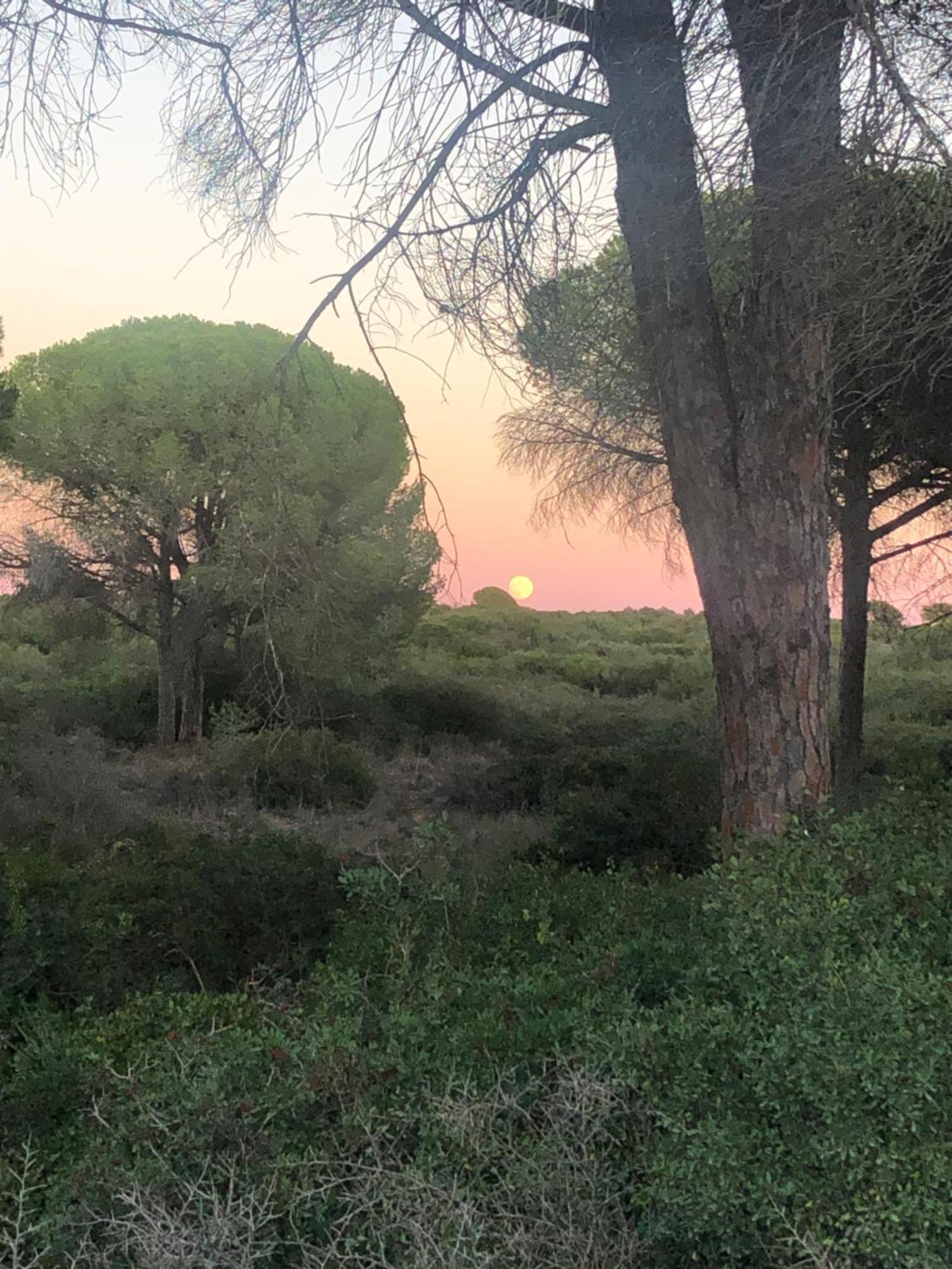 Casa Rural Los Pepe Sancti Petri Chiclana de la Frontera Eksteriør bilde
